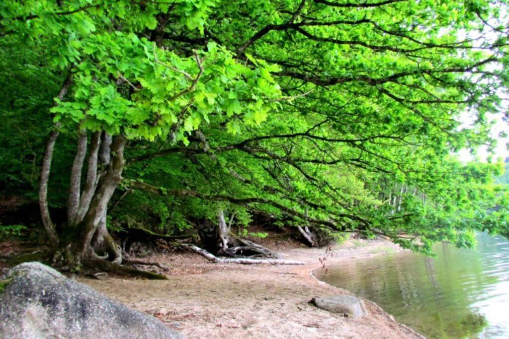 Maison De Vacances - Lac De Chaumecon - Morvan - La Meloise Saint-Martin-du-Puy  Ngoại thất bức ảnh